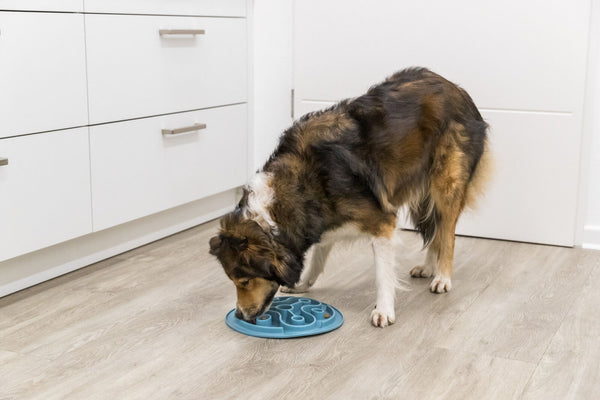 Slow Feeding mat, TPE, ø 28 cm, blue