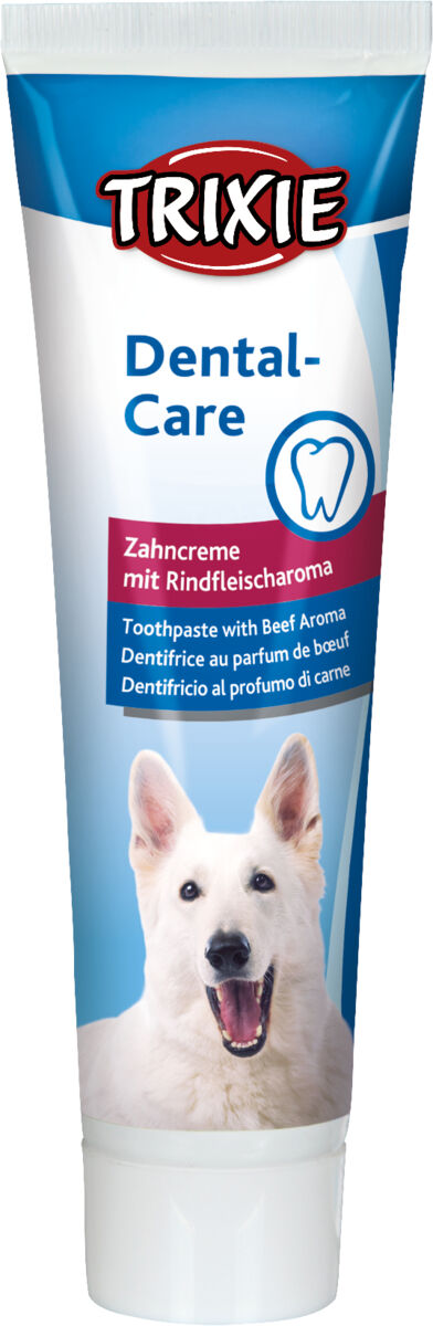 dentifrice, goût de viande, chien