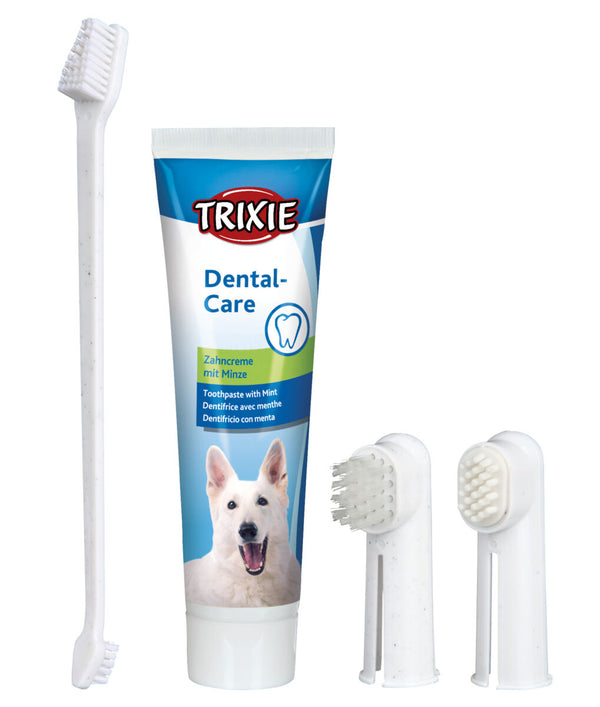 Dental hygiene kit for dogs