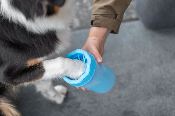 Paw cleaner, silicone/PP, blue