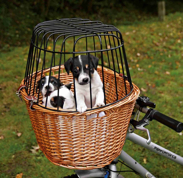 Fahrradkorb mit Gitter