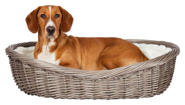 Basket, wicker, with cover and cushion, gray