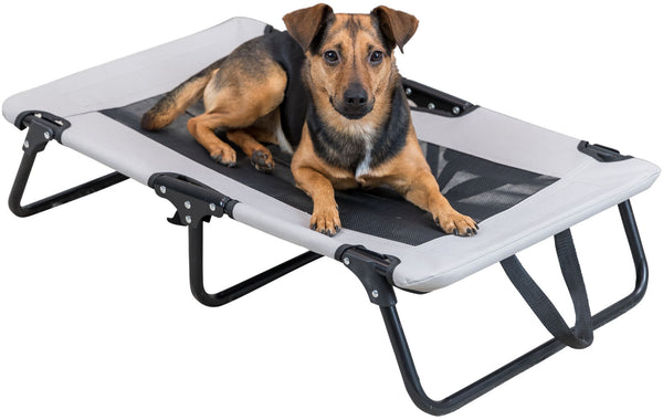 Chaise longue pour chien, gris/noir