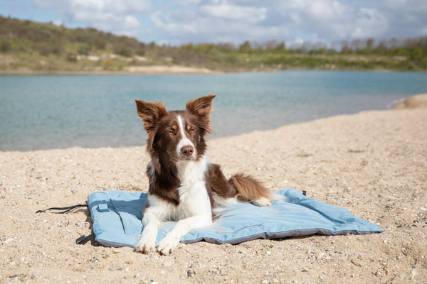 Samoa Classic Travel Blanket, Ice Blue/Grey