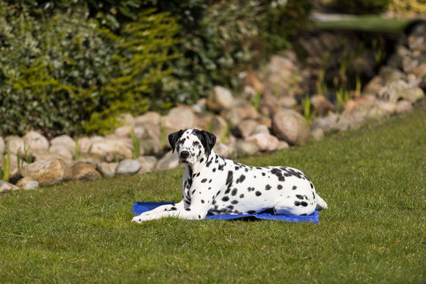 Cooling mat, blue