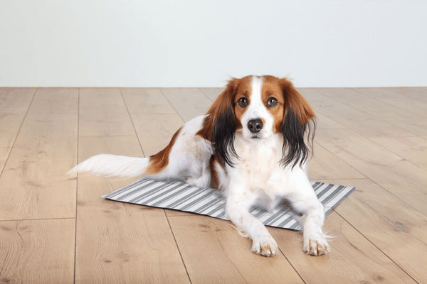 Tapis réfrigérant, blanc/gris