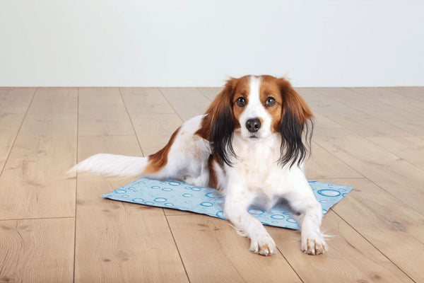 Tapis réfrigérant, bleu clair