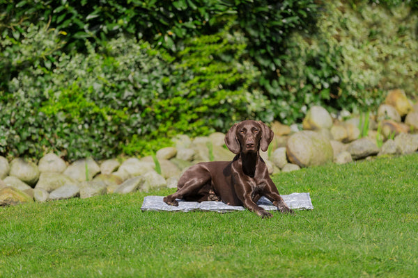 Soft cooling mat, grey