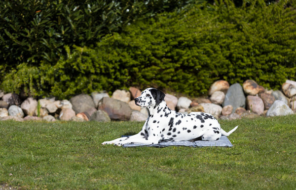 Tapis réfrigérant Soft, gris