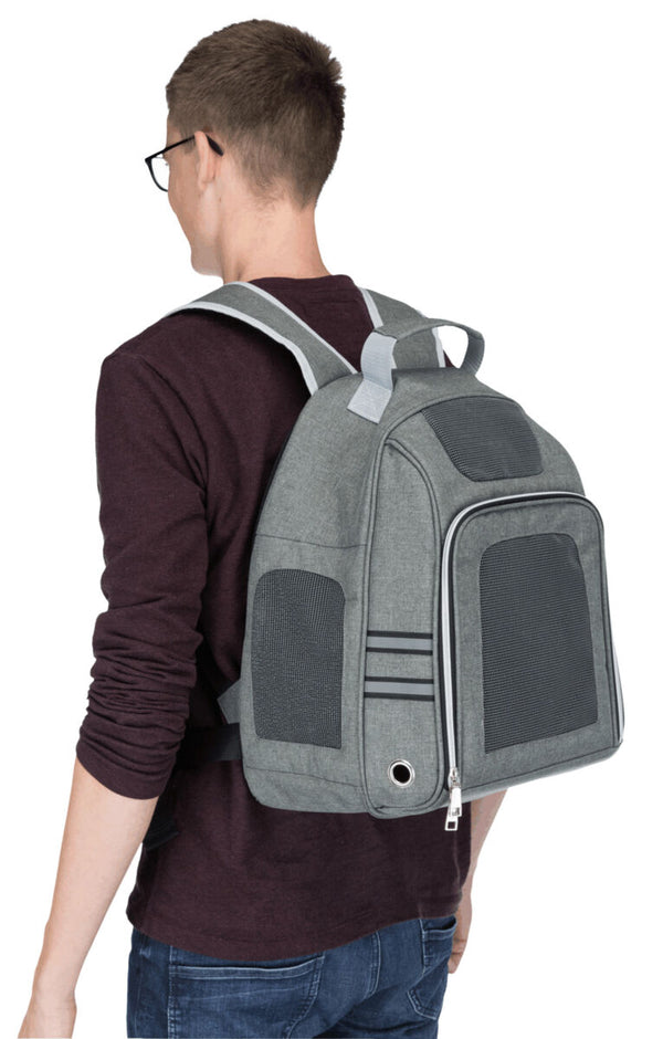 Dan Rucksack, 38×50×26 cm, grau