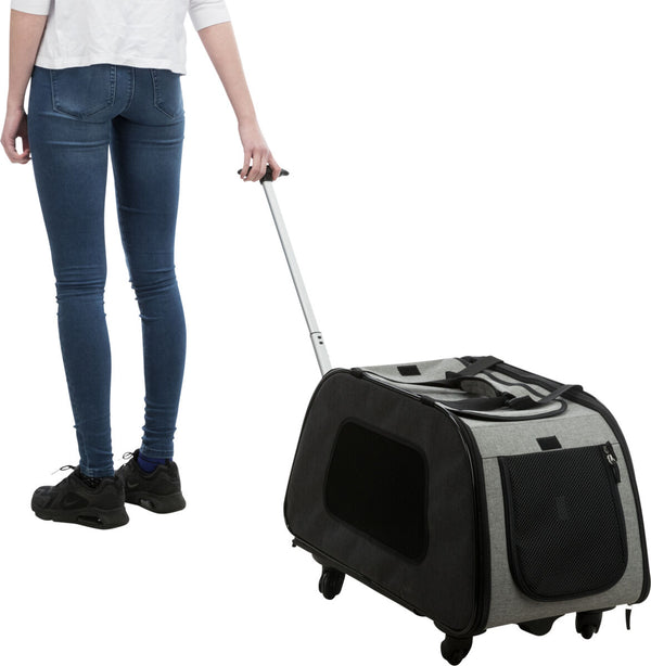 Trolley,nylon,34×43×67cm,noir/gris