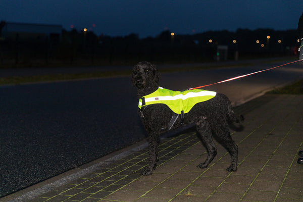 Safety vest, reflective, yellow