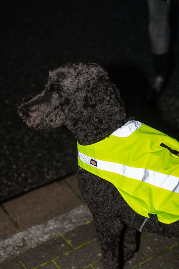 Safety vest, reflective, yellow