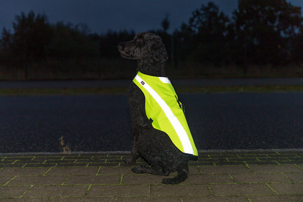 Gilet de sécurité, réfléchissant, jaune