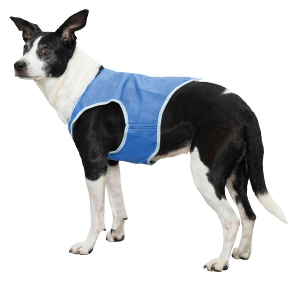 Cooling vest, PVA / belly circumference -&gt; 50cm