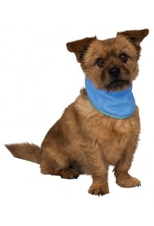 Cooling bandana, PVA