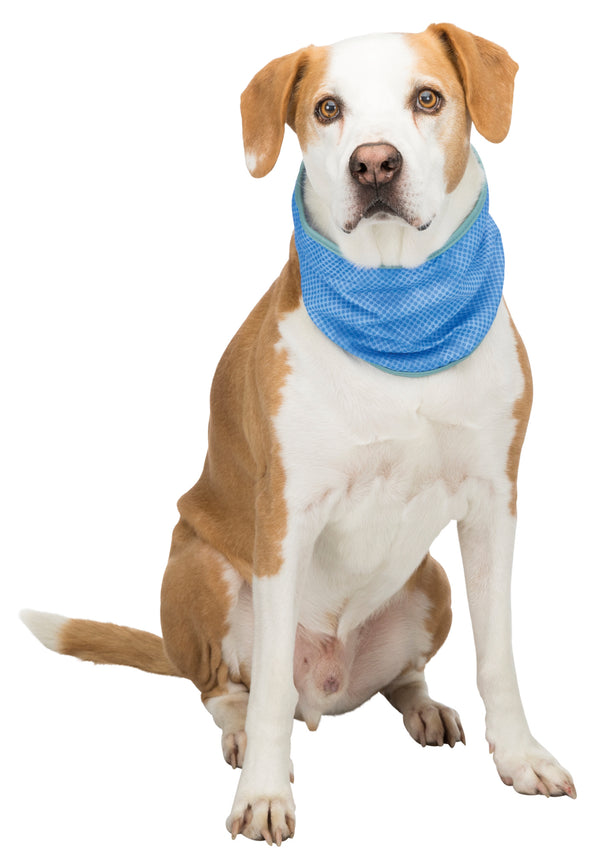 Cooling bandana, PVA