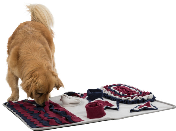 Dog Activity Jeu de stratégie Tapis à renifler, 70×47cm