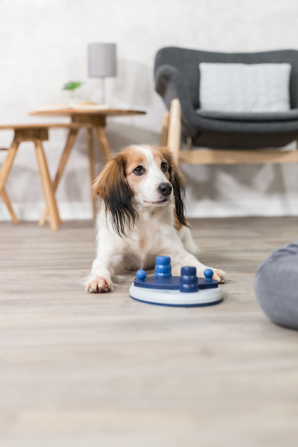 Hundeaktivität wegschieben