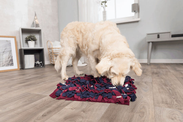 Sniffing activity mat, 50×34cm