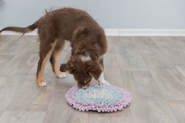 Tapis à renifler Junior, ø 38cm