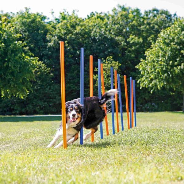 12 barres "Parcours d'agility