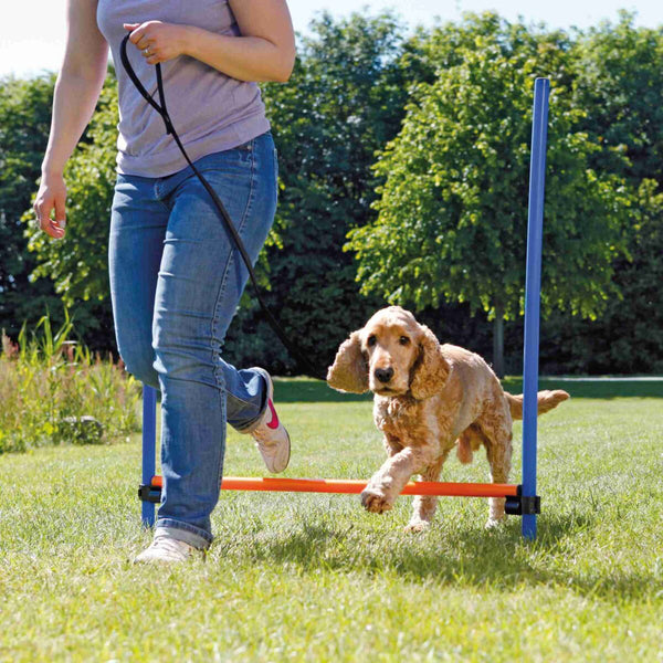 Obstacle d'agilité