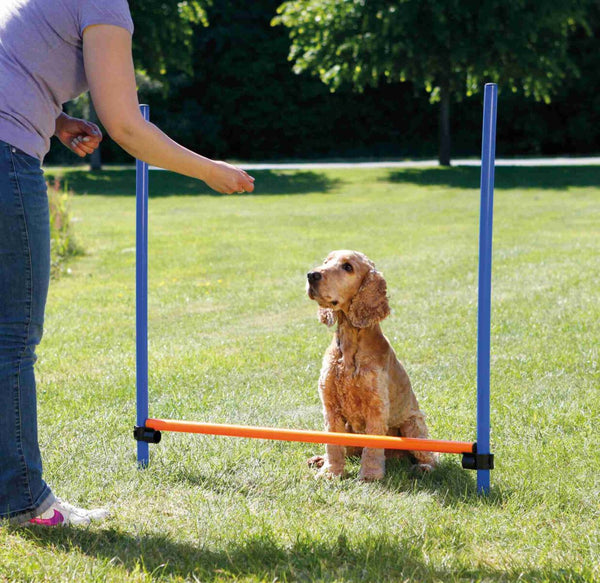 Obstacle d'agilité