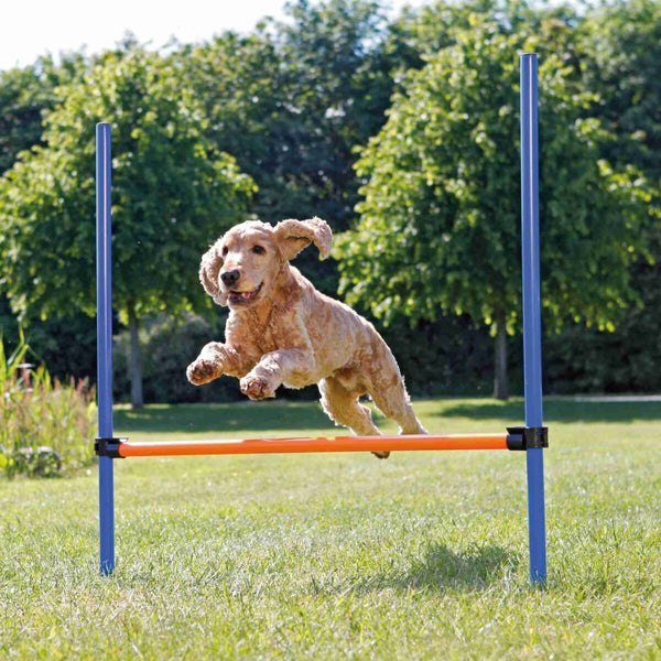 Agility obstacle