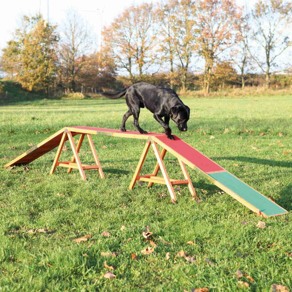 Dog Activity Agility Passerelle