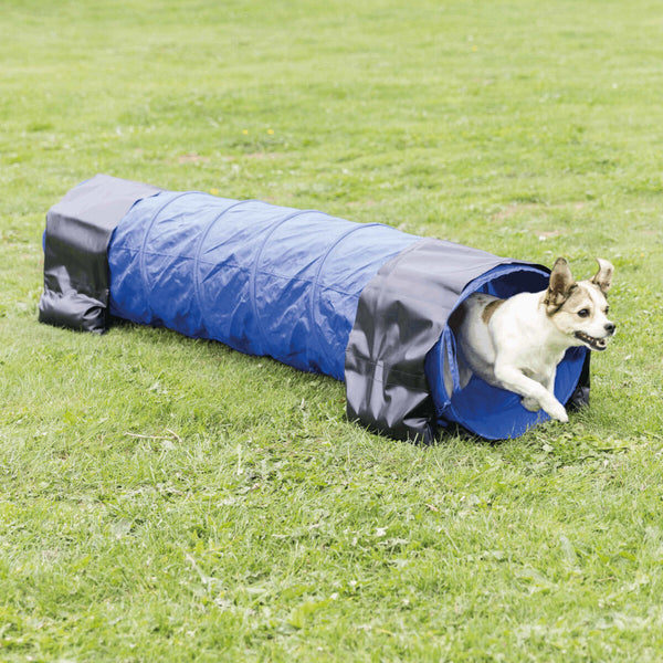 Agility tunnel