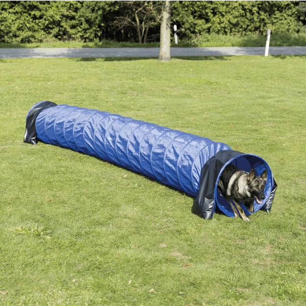 Agility tunnel, blue nylon