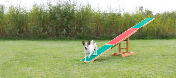 Agility seesaw, 300x34x54cm