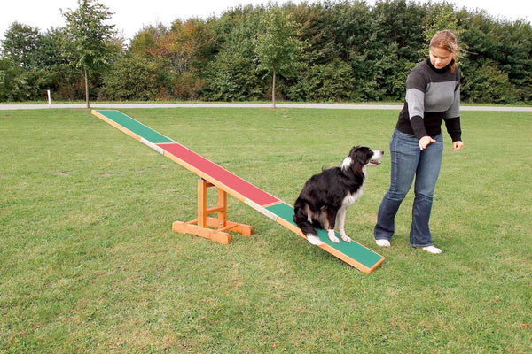 Agility seesaw, 300x34x54cm