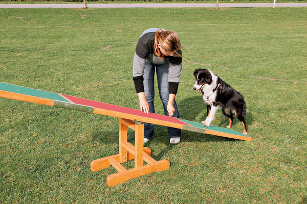 Agility seesaw, 300x34x54cm