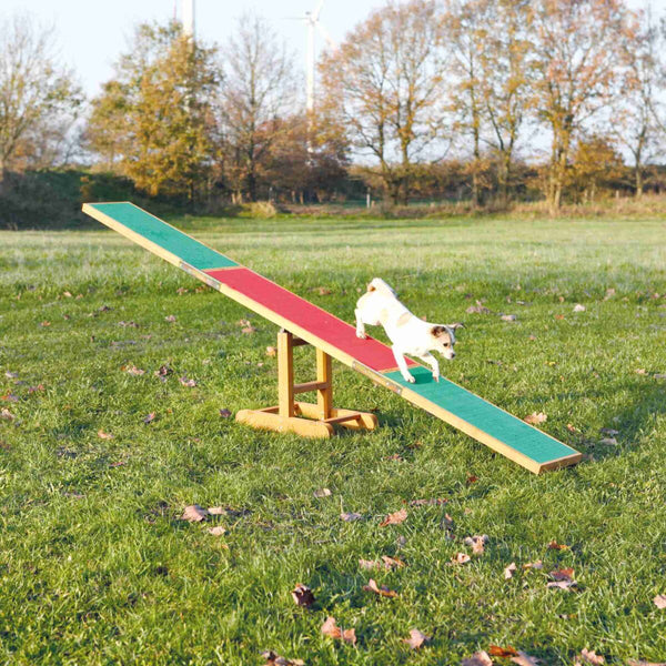 Agility seesaw, 300x34x54cm