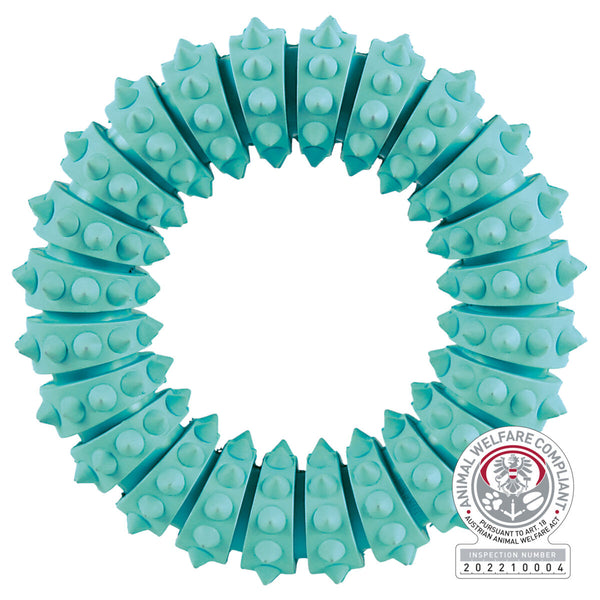 DENTAfun Ring, Mintfresh, natural rubber