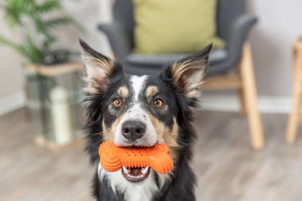 Crackling Bone, Natural Rubber