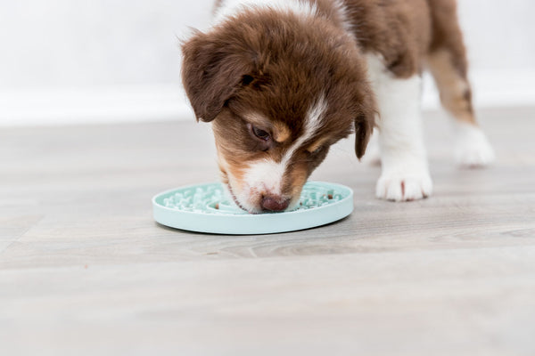 Junior licking tray, ø 15cm, mint