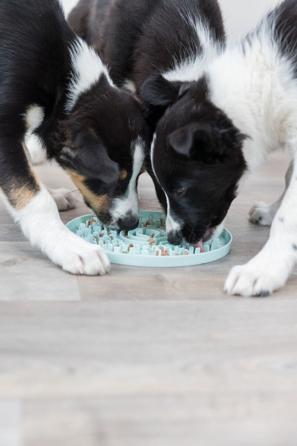 Junior licking tray, ø 21 cm, mint