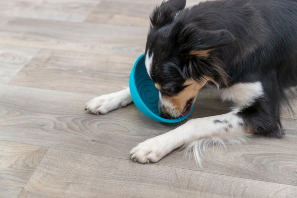 Lick'n'Snack Bowl, silicone, ø 16cm