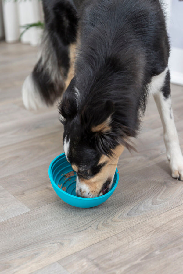 Lick'n'Snack Bowl, silicone, ø 16cm