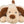 Benny Dog, plush, 30 cm