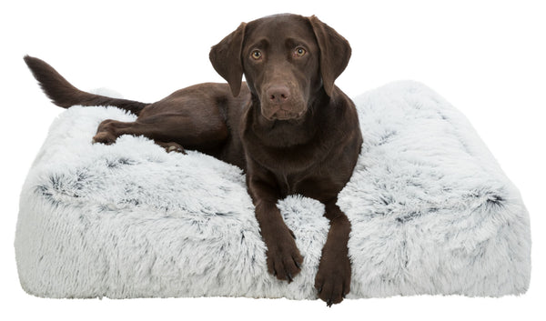 Coussin Harvey, blanc-noir