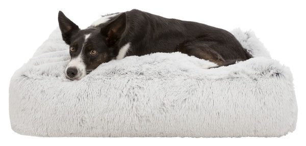 Coussin Harvey, blanc-noir