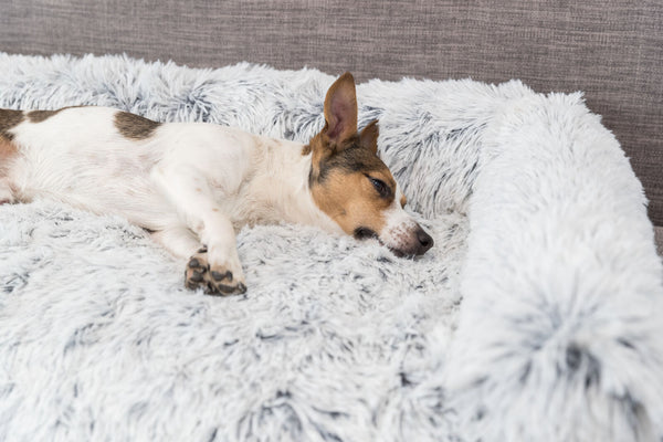 Harvey padded blanket, square, white-black