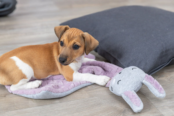 Junior blanket with rabbit, 55×40 cm, lilac/light grey