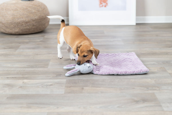 Junior blanket with rabbit, 55×40 cm, lilac/light grey