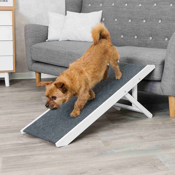 Ramp, height adjustable, 36×90cm