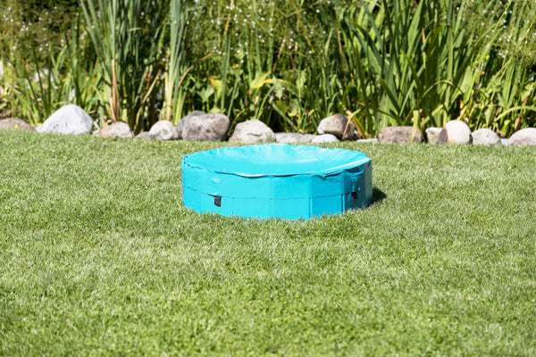 Piscine pour chiens, bleu